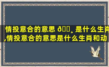 情投意合的意思 🕸 是什么生肖,情投意合的意思是什么生肖和动物